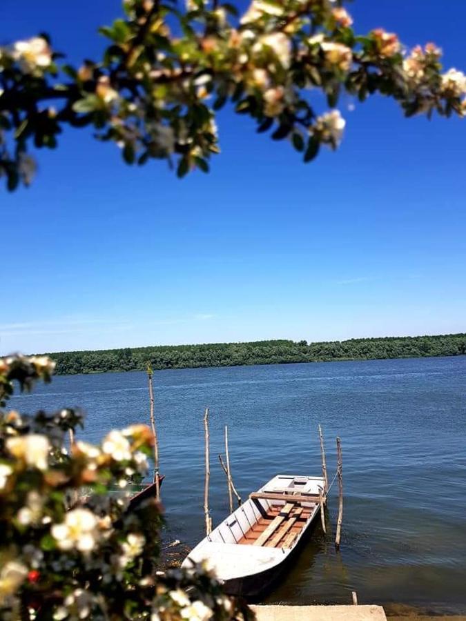 Вилла San Na Vodi Смедерево Экстерьер фото